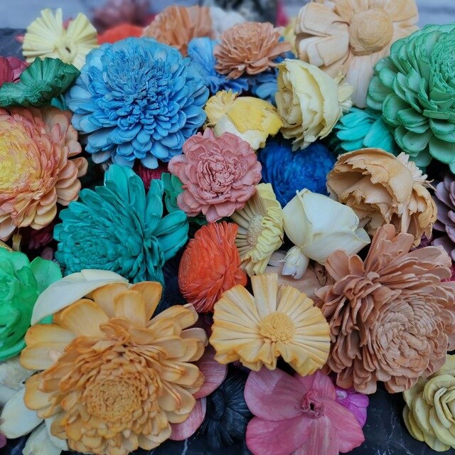 200pcs Sola Wood Flower Assortment, dried flowers for flower reed diffuser.