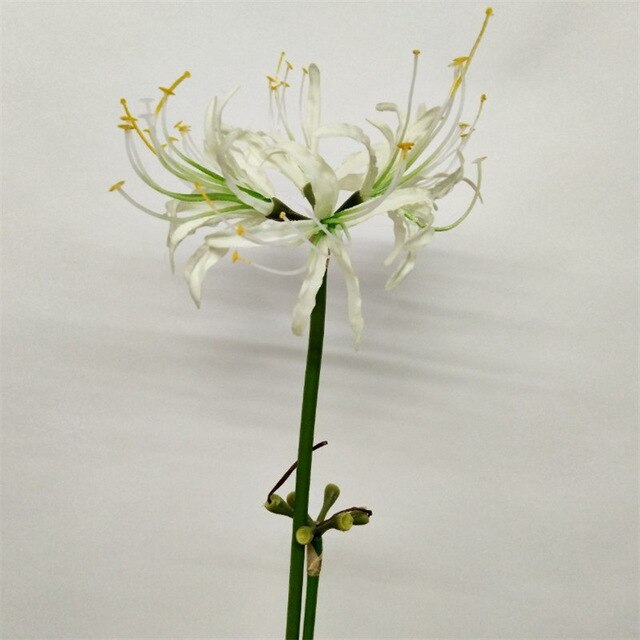 12Pcs Fake Single Stem Equinox Flower 23.62" Length Simulation Manjusaka for Wedding Home Decorative Artificial Flowers