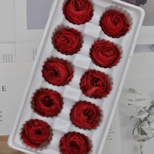 1 box eternal flower Austin rose flower diameter 3-4cm Preserved Flowers gift box material